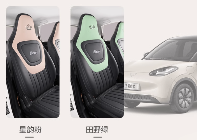 ปลอกหุ้มเบาะรถยนต์ Wuling Binguo EV