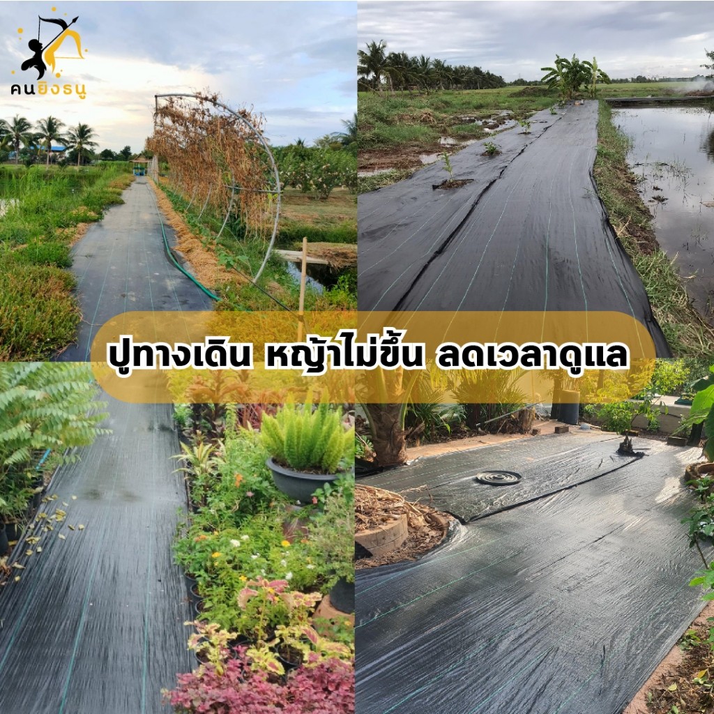 พลาสติกคลุมวัชพืช ขนาดหน้ากว้าง 1 เมตร แบ่งขายความยาวตามต้องการ