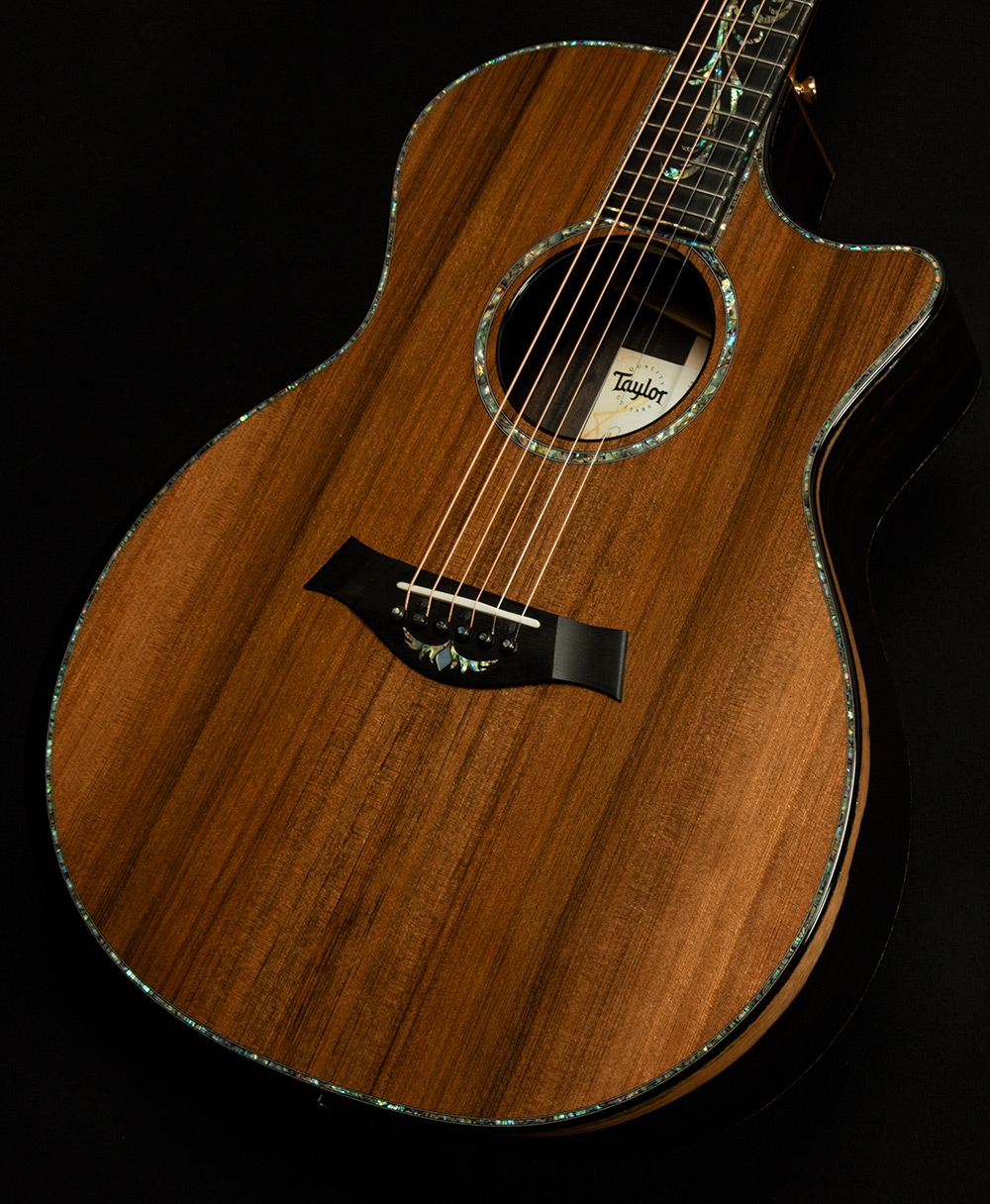 Taylor PS14ce Wildwood and Steel Prototype No.1109267117