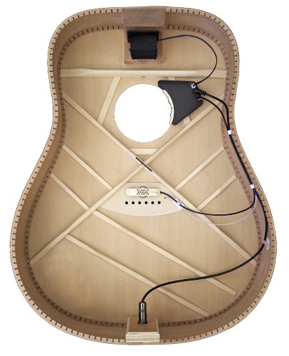 LR Baggs Anthem Stage Pro