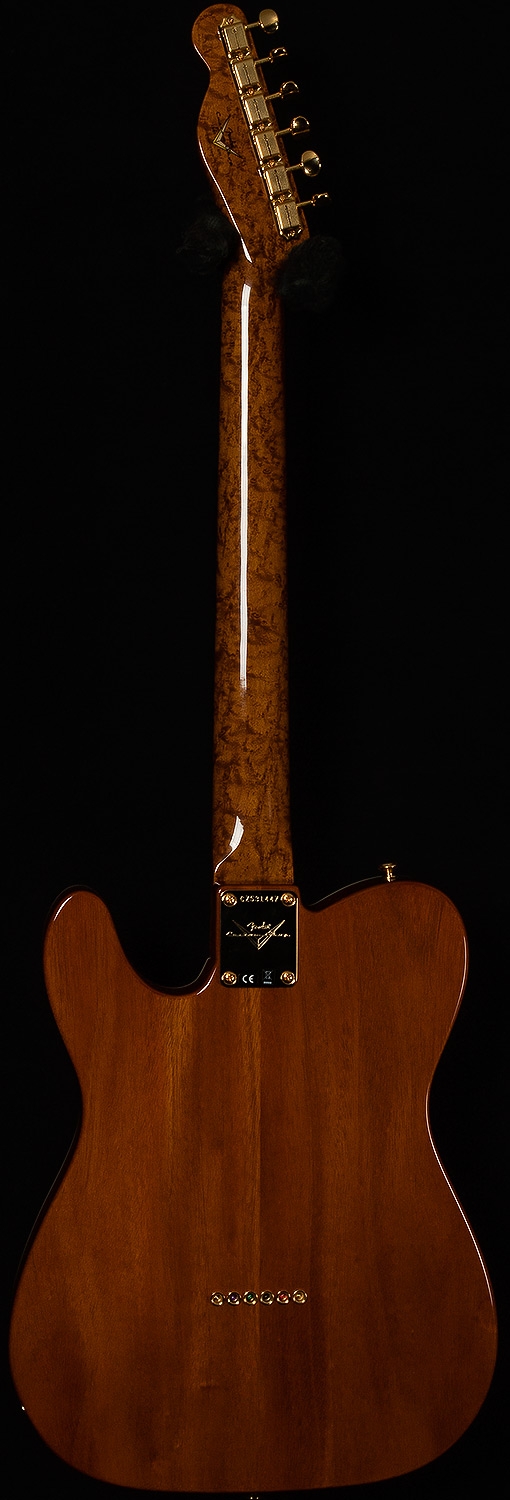Fender Custom Shop 2017 Collection Artisan Telecaster - Figured Rosewood