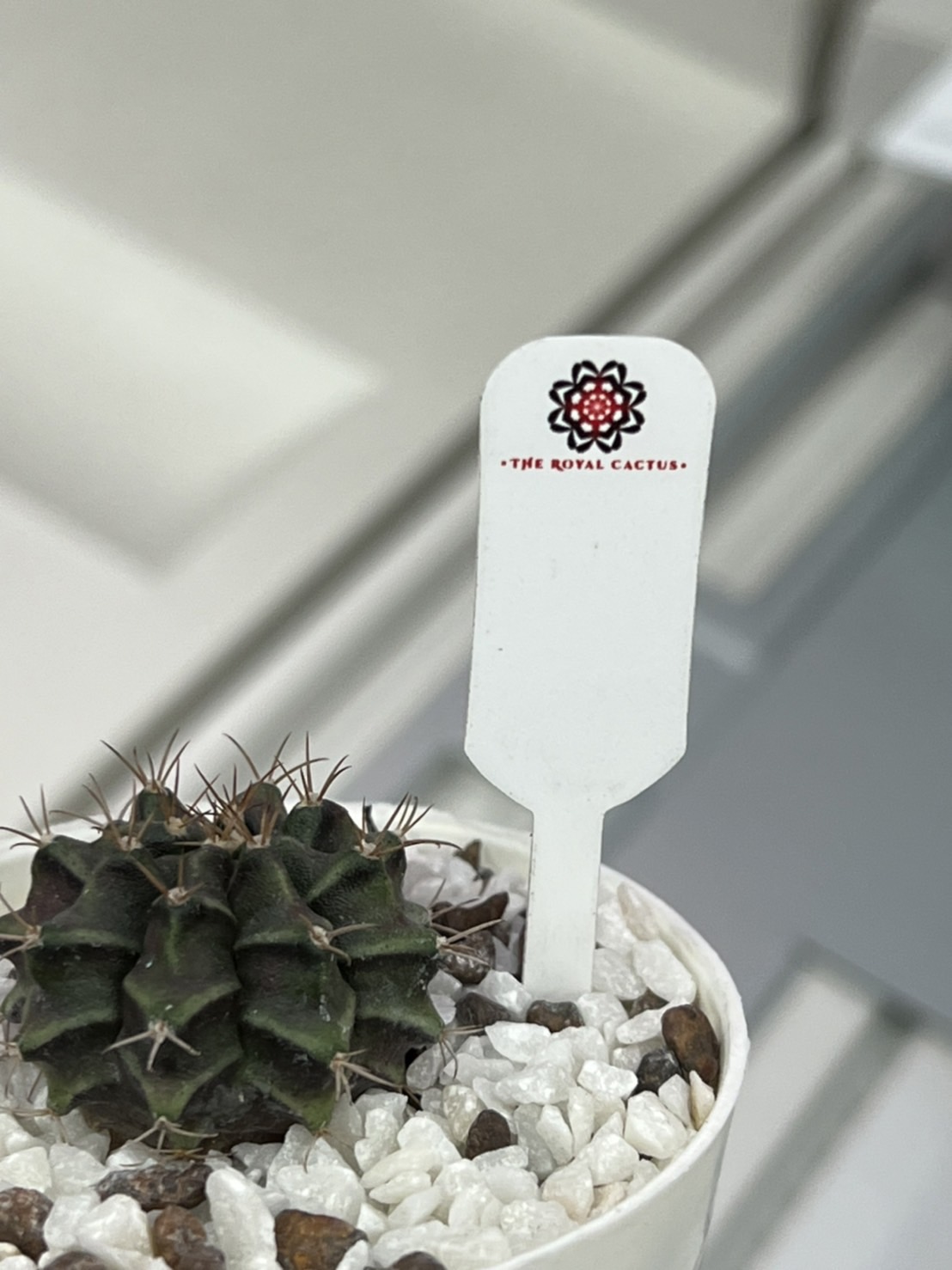 ป้าย Tag แท็กพลาสติกปักต้นไม้