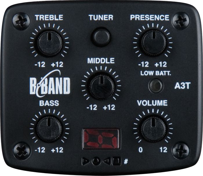 Luna Guitars Fauna Dragon Folk Acoustic-Electric Guitar