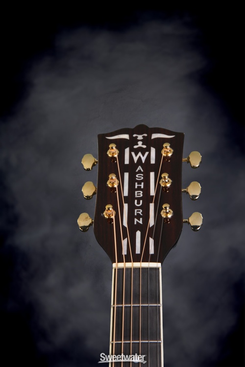 Washburn WSD5240 Warren Haynes Signature Model - Natural