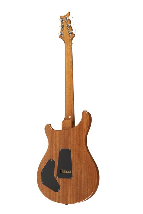 PRS DGT Standard with Birds Electric Guitar