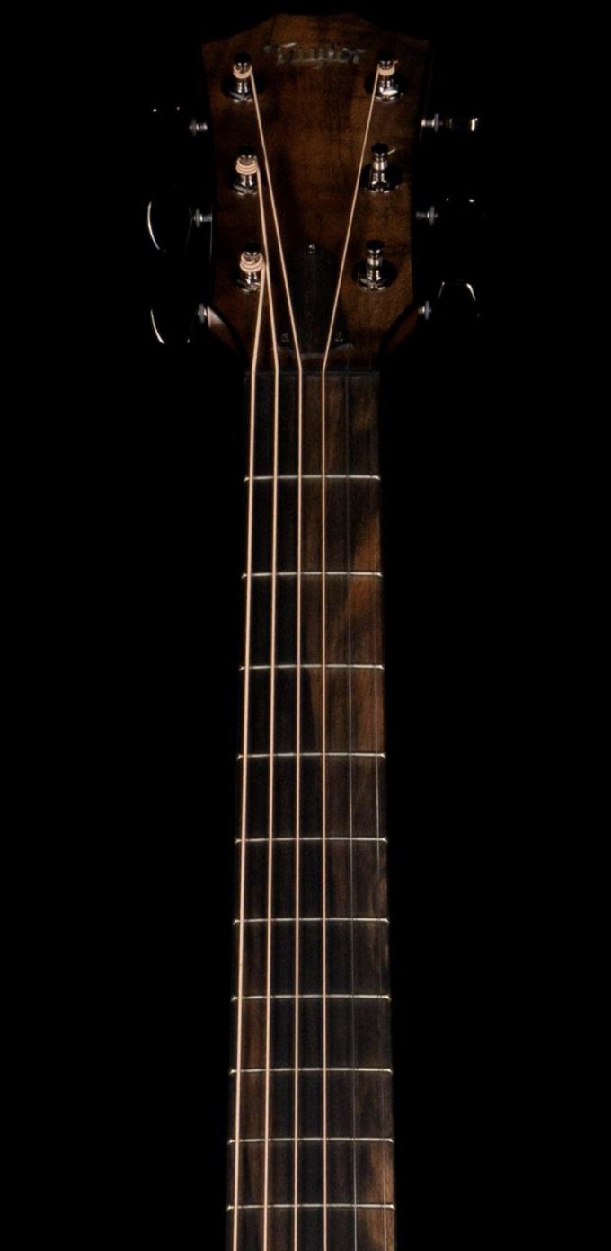 Taylor Custom Grand Pacific Catch #38 Walnut/Walnut Natural