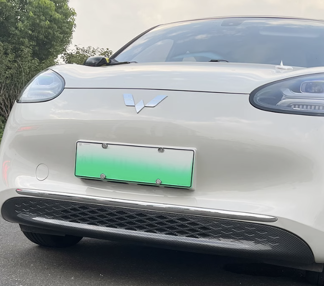 ตะแกรงกันแมลง Wuling Binguo EV