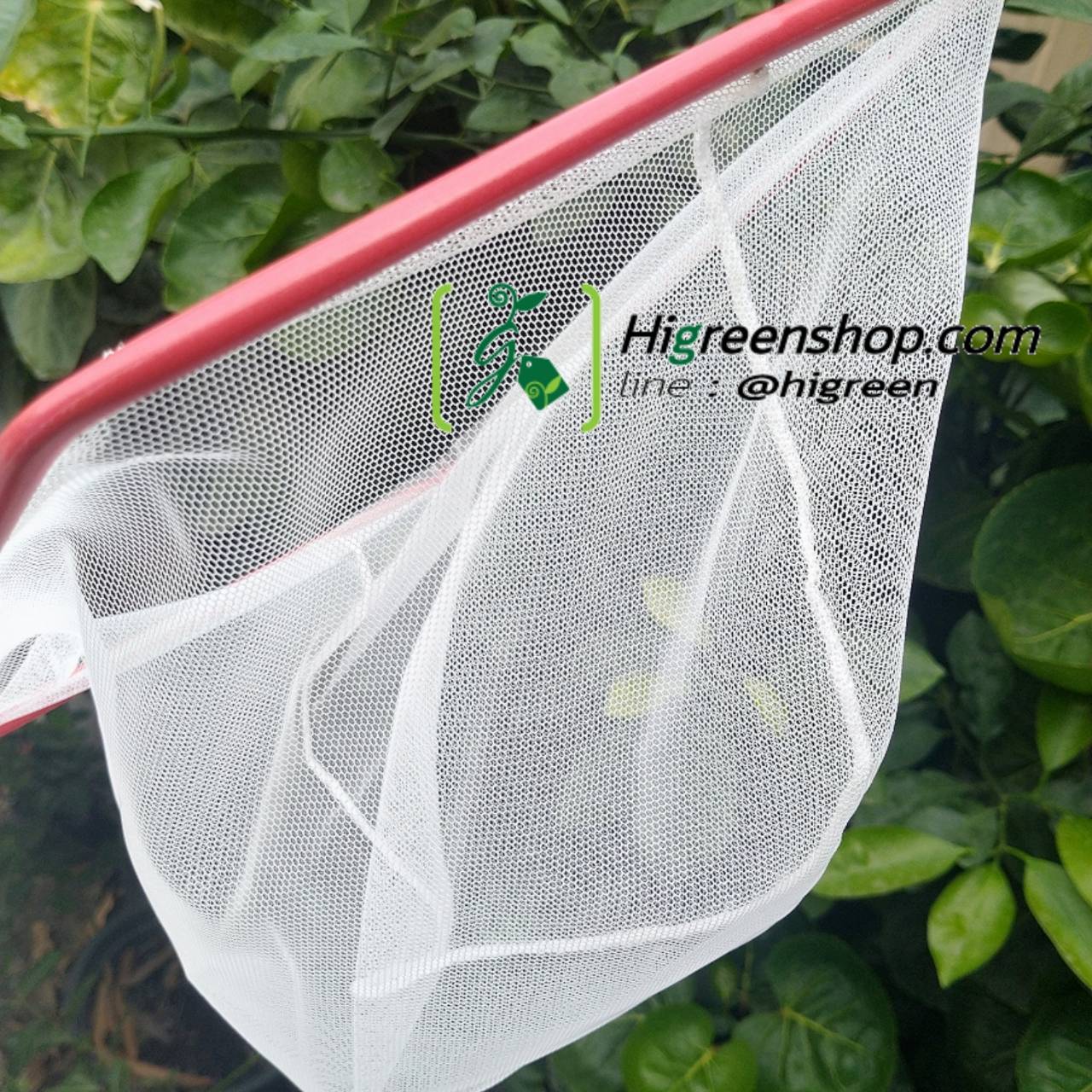 สวิงช้อนปลาด้ามยาว ไซส์ L จำนวน 1 อัน