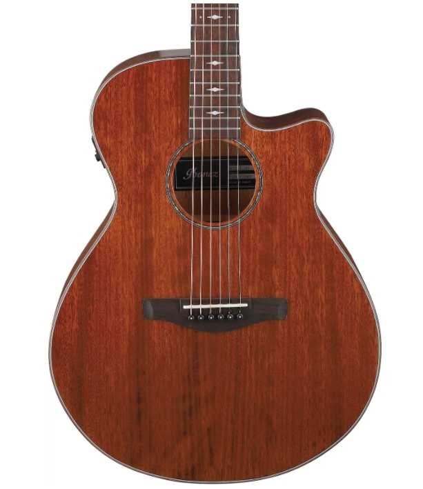 Ibanez AEG220 Acoustic-electric Guitar - Natural Low Gloss