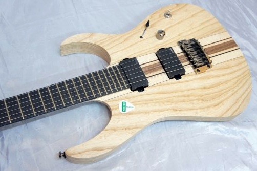 Ibanez Iron label RG Series RGIT20FE Electric Guitar Natural Flat