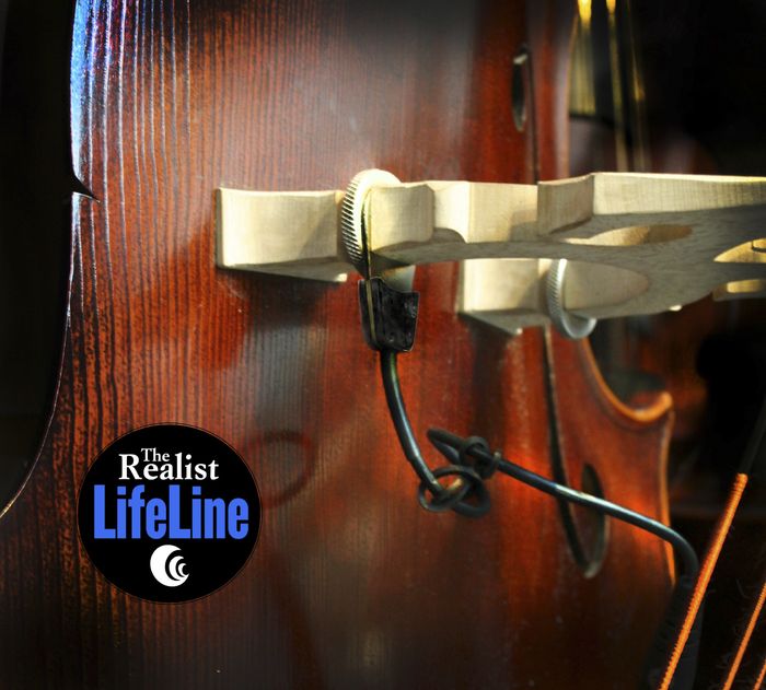 The Realist Lifeline Piezo Double Bass Pickup