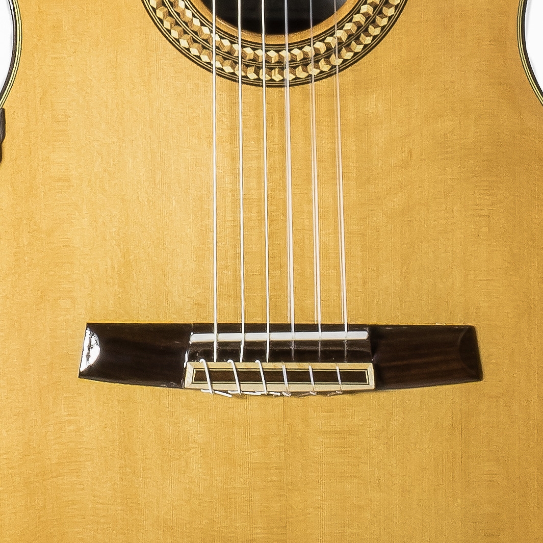 Calido Soloist - All Solid Wood - Cedar Top, Indian Rosewood Back/Sides - Classical Guitar