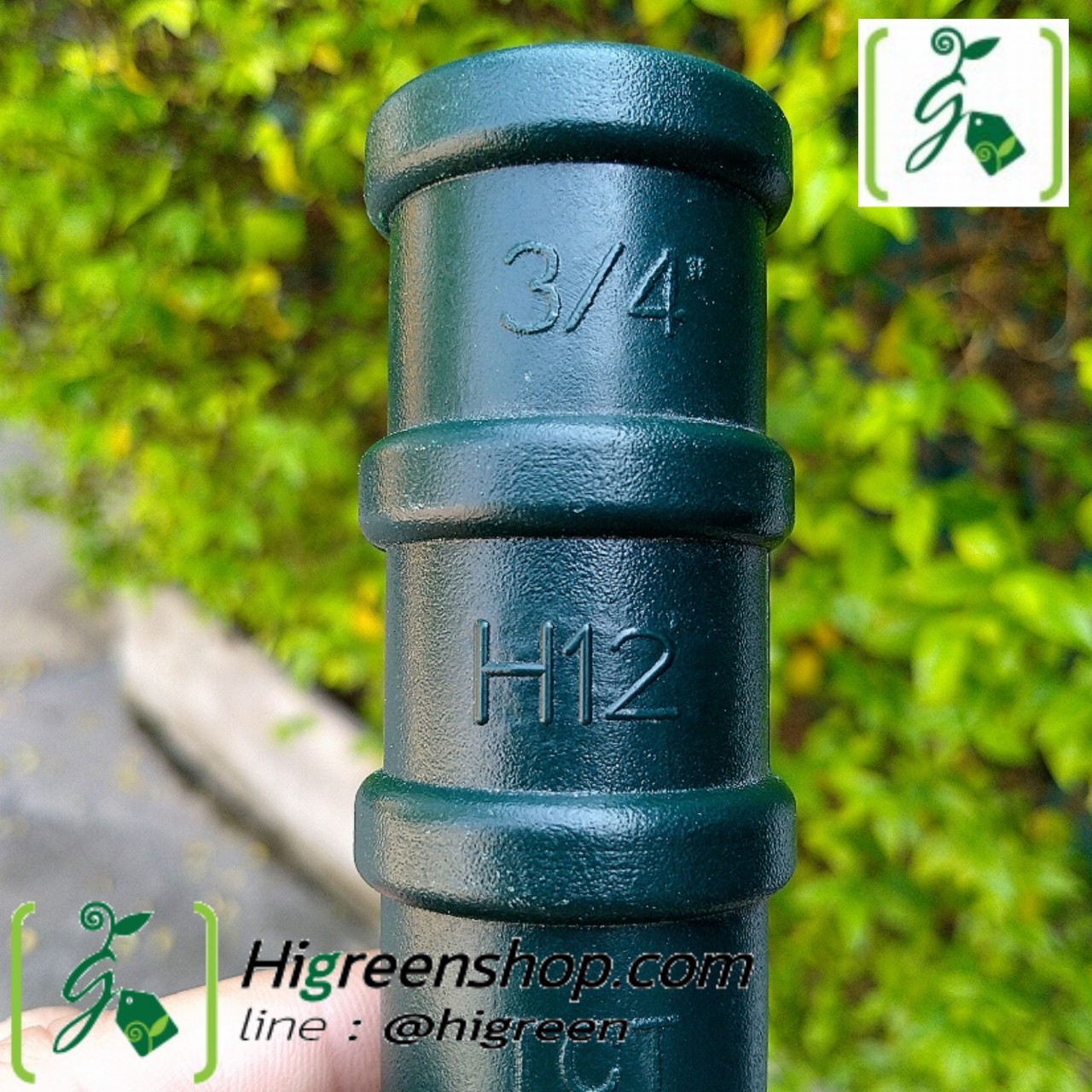 คลิปล็อคสีเขียว 6 หุน (3/4 นิ้ว) 10 ตัว