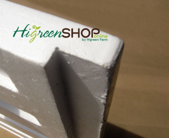 โฟมแผ่นปลูกผักไทย 50 รู