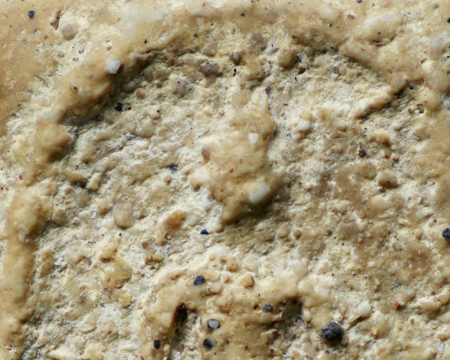 พระสมเด็จวัดระฆังโฆสิตาราม พิมพ์ใหญ่ เนื้อคล้ายขนมกระยาสารท(โชว์พระ)