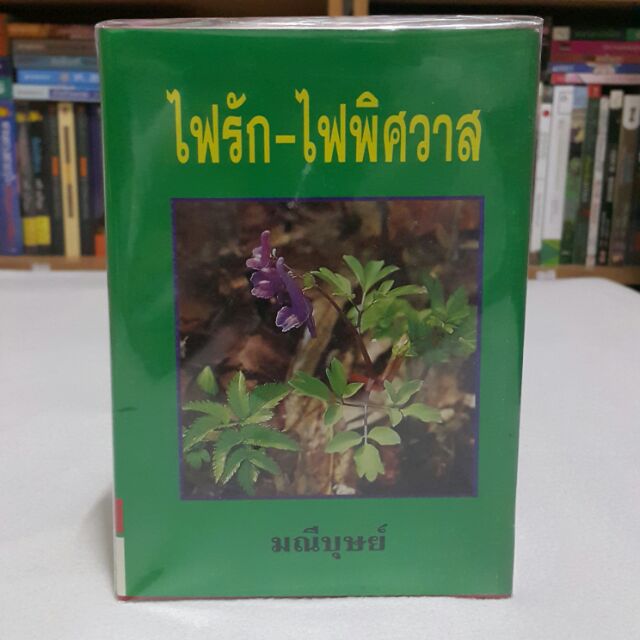 ไฟรัก-ไฟสวาท เขียนโดย มณีบุษย์