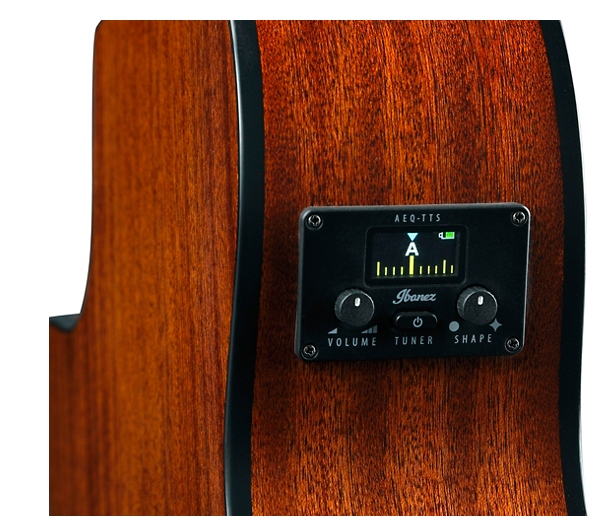 Ibanez AEG50 Grand Concert Acoustic-Electric