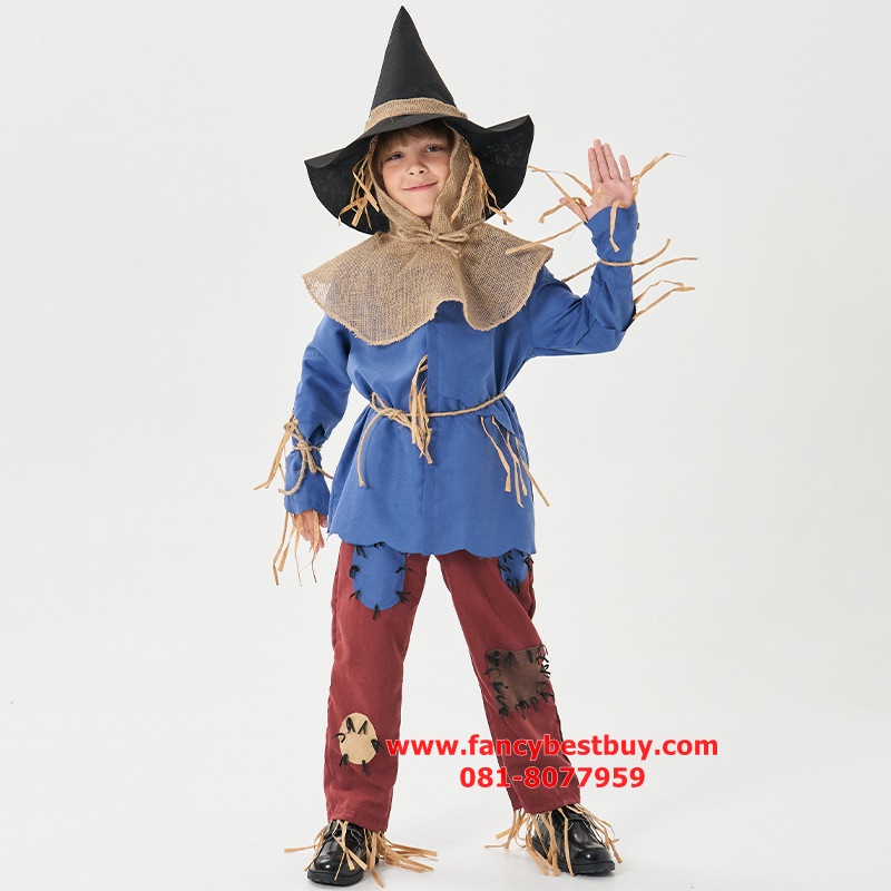 ชุดแฟนซี Scarecrow ชุดหุ้นไล่กา Dorothy of OZ ขนาด S115-125, M 125-135, XL145-155