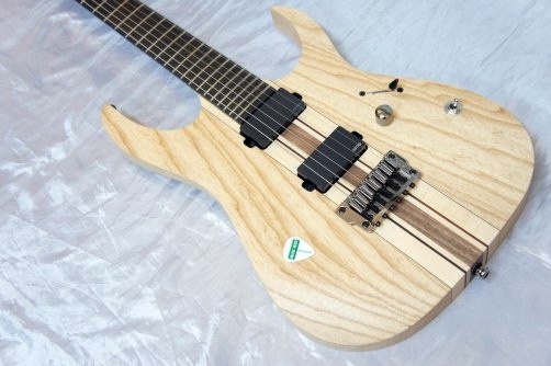 Ibanez Iron label RG Series RGIT20FE Electric Guitar Natural Flat