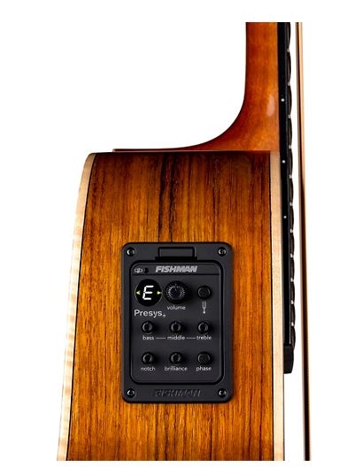 Luna Guitars Vista Bear Tropical Wood Acoustic-Electric Bass Gloss Natural