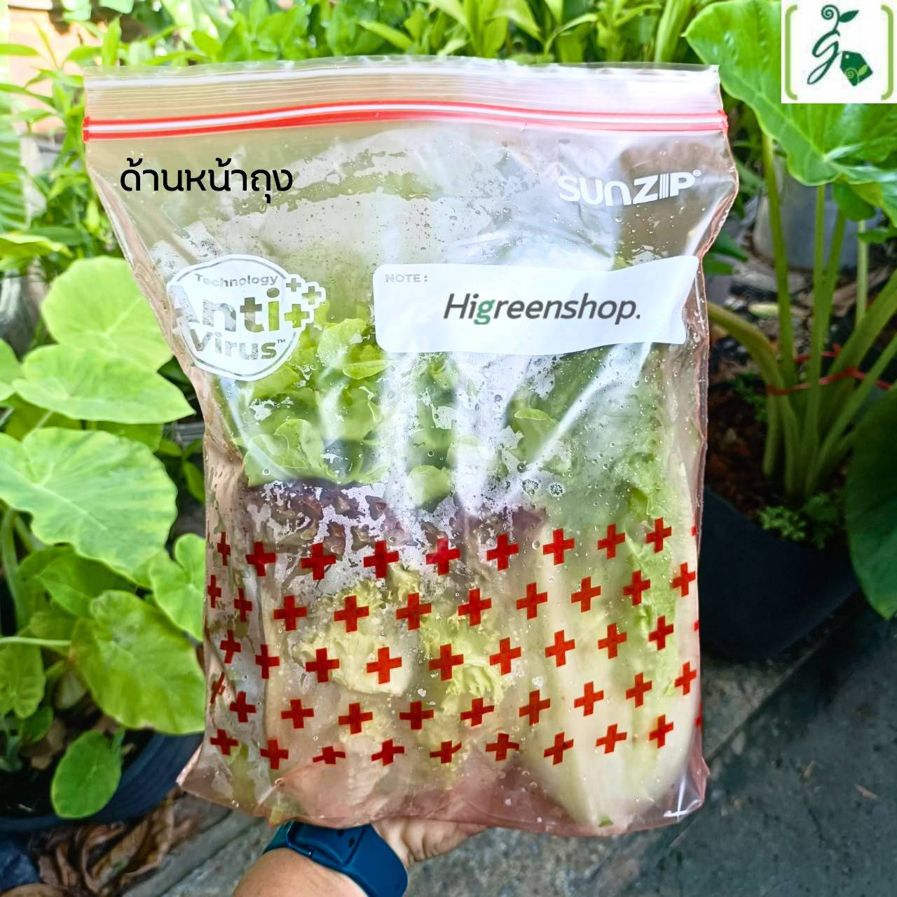 ถุงซิปแอนตี้ไวรัส ถุงซิปล็อค SUNZIP Anti Virus Zipper bag