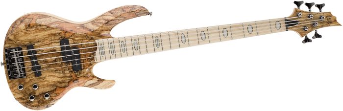 ESP LTD RB-1005 5 String Electric Bass Guitar