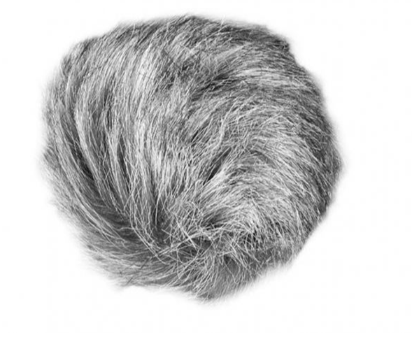 Zoom WSU-1 Universal Windscreen