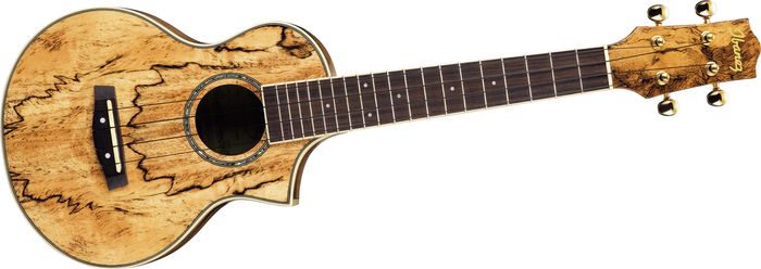 Ibanez UEW20SG EW Concert Ukulele - Spalted Mango (Natural)