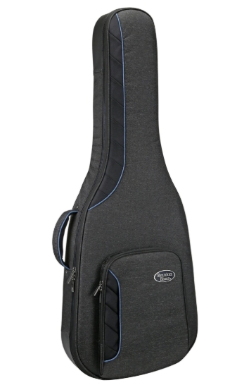 Reunion Blues RB Continental Voyager Semi/Hollow Body Electric Guitar Case