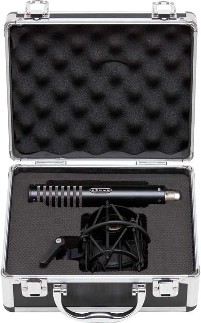 Royer R-101 Ribbon Mic (Black)