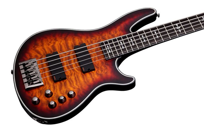 Schecter Guitar Research Hellraiser Extreme-5 Electric Bass Guitar