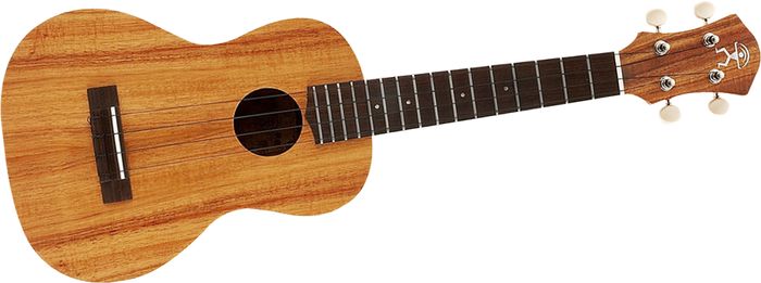aNueNue Oahu Koa II Concert Ukulele