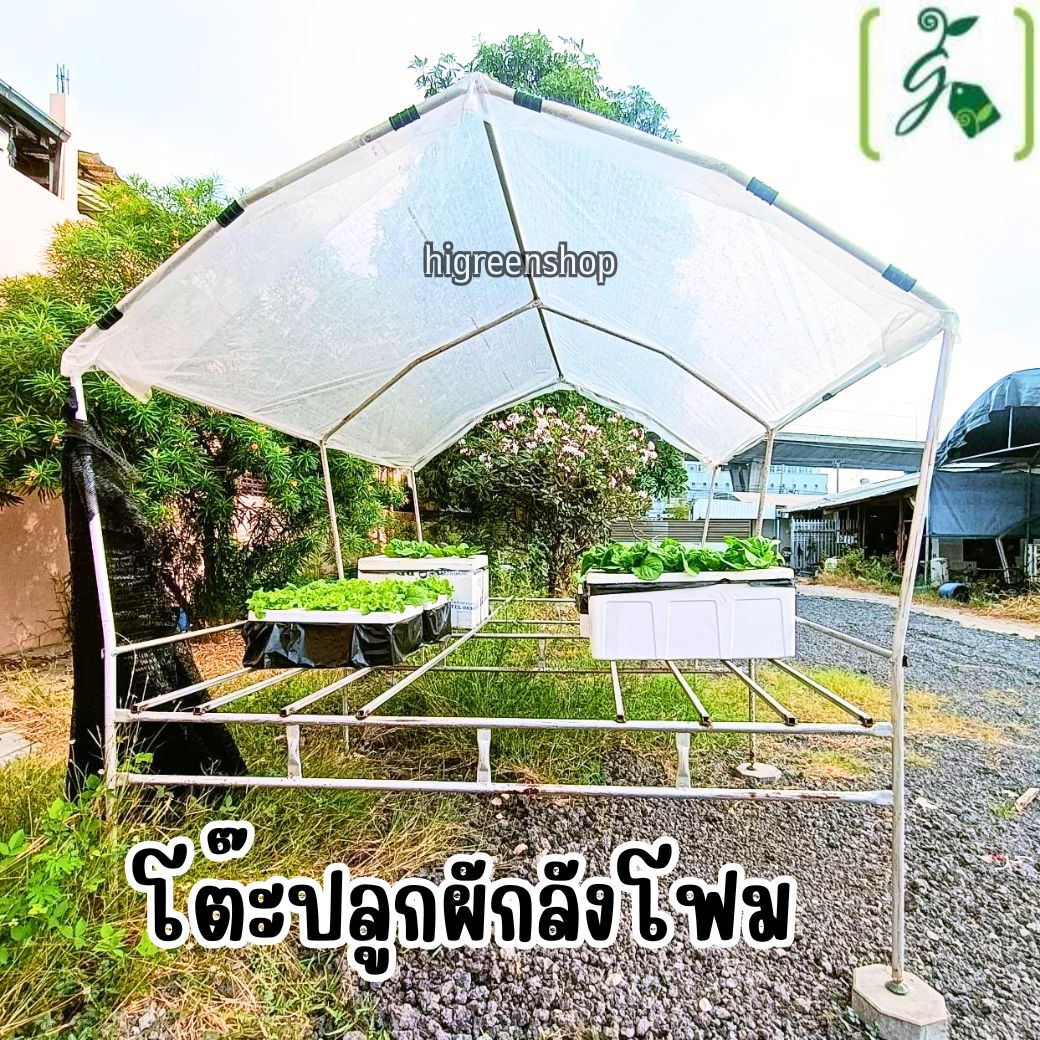 กล่องโฟมมือ 1 กล่องเปล่า กล่องกุ้ง กล่องปลูกผักไฮโดรโปนิกส์ เจาะรูฟรี เจาะรูสลัด 5 / 6 / 8 ต้น หรือผักไทย 15 ต้น เลือกได้ / เซต 10 ลัง