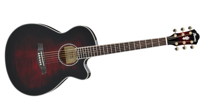 Ibanez AEG20II Flamed Sycamore Top Cutaway Acoustic-Electric Guitar