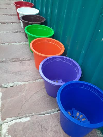 กระถางกลม 12 นิ้ว 1 ใบ (เลือกสีได้)