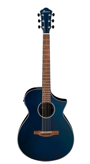 Ibanez AEWC10 Acoustic-Electric Guitar