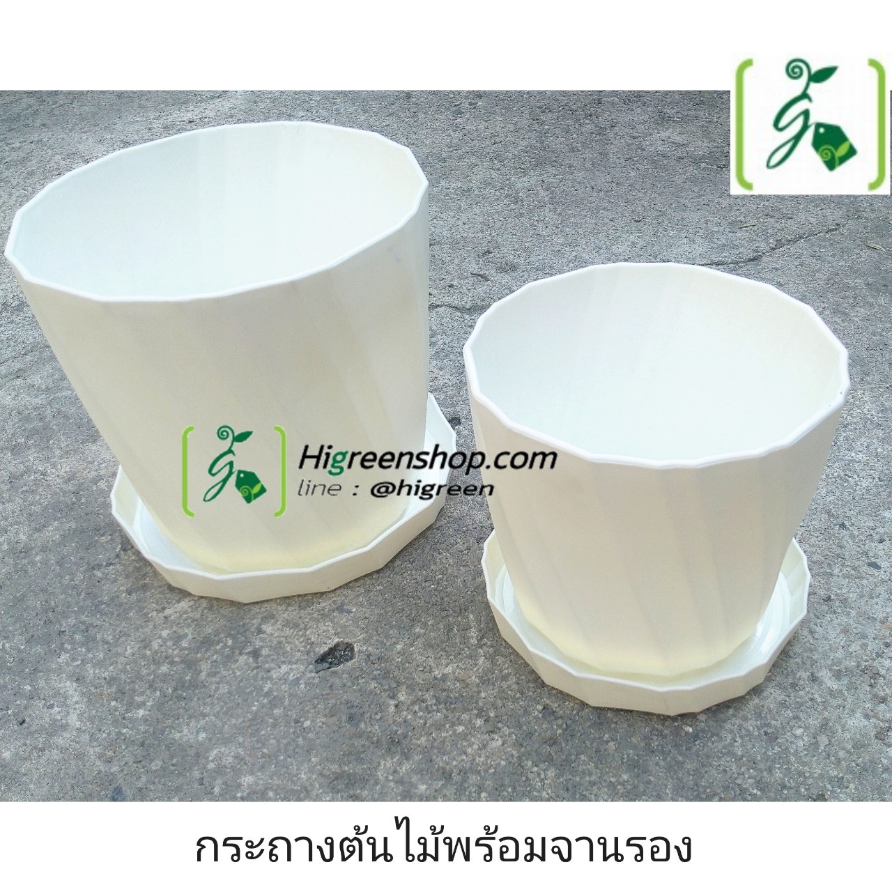 กระถางต้นไม้พร้อมถาดรอง กระถางตั้งโต๊ะ ไซส์ L จำนวน 1 ใบ/แพ็ค