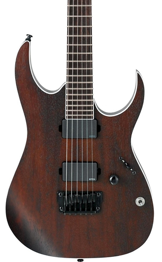 Ibanez Iron Label RG Series RGIR20BFE Fixed Bridge Electric Guitar Walnut Flat