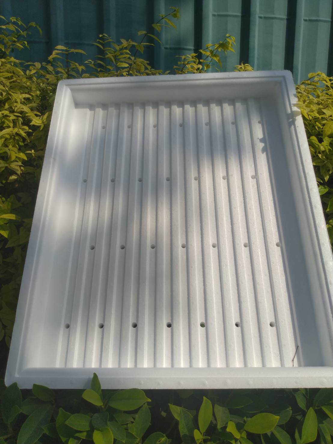 ถาดโฟมเพาะกล้า