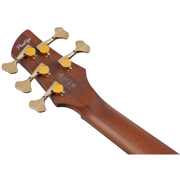 Ibanez SR6605 Prestige 5 String, Ghost Fleet Blue Burst