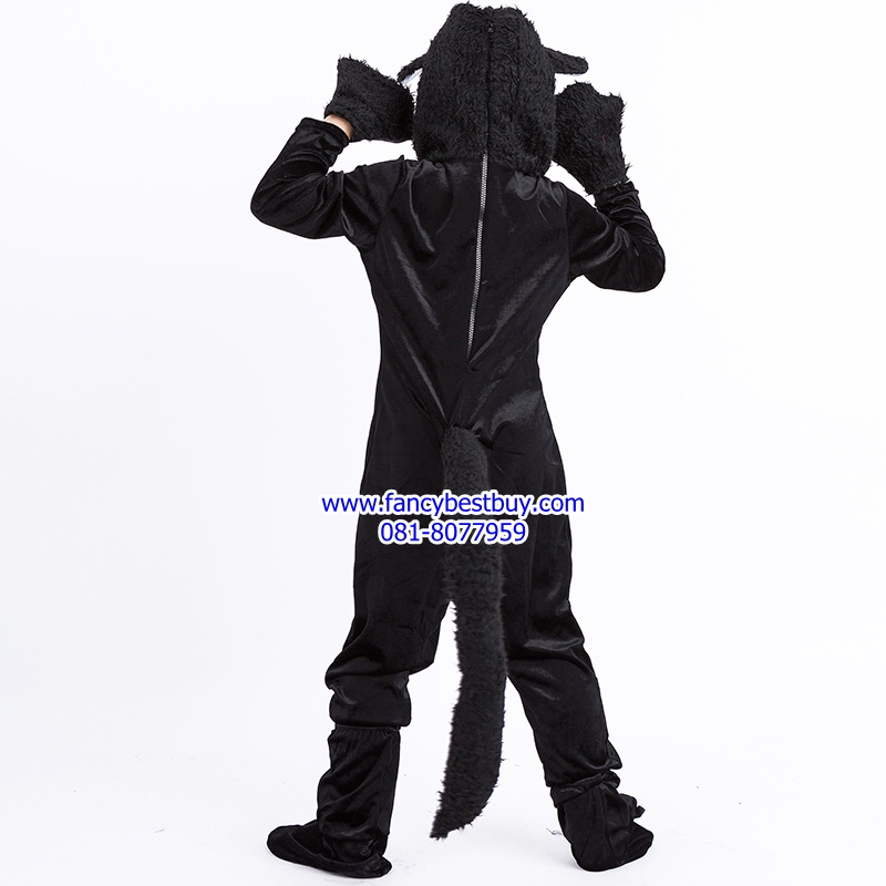 ชุดแฟนซีแมวดำ ชุดแฟนซีเด็ก CAT COSTUME ชุดแฟนซีสัตว์ มี ขนาด S(110-120),L(130-140), XL(140-150)