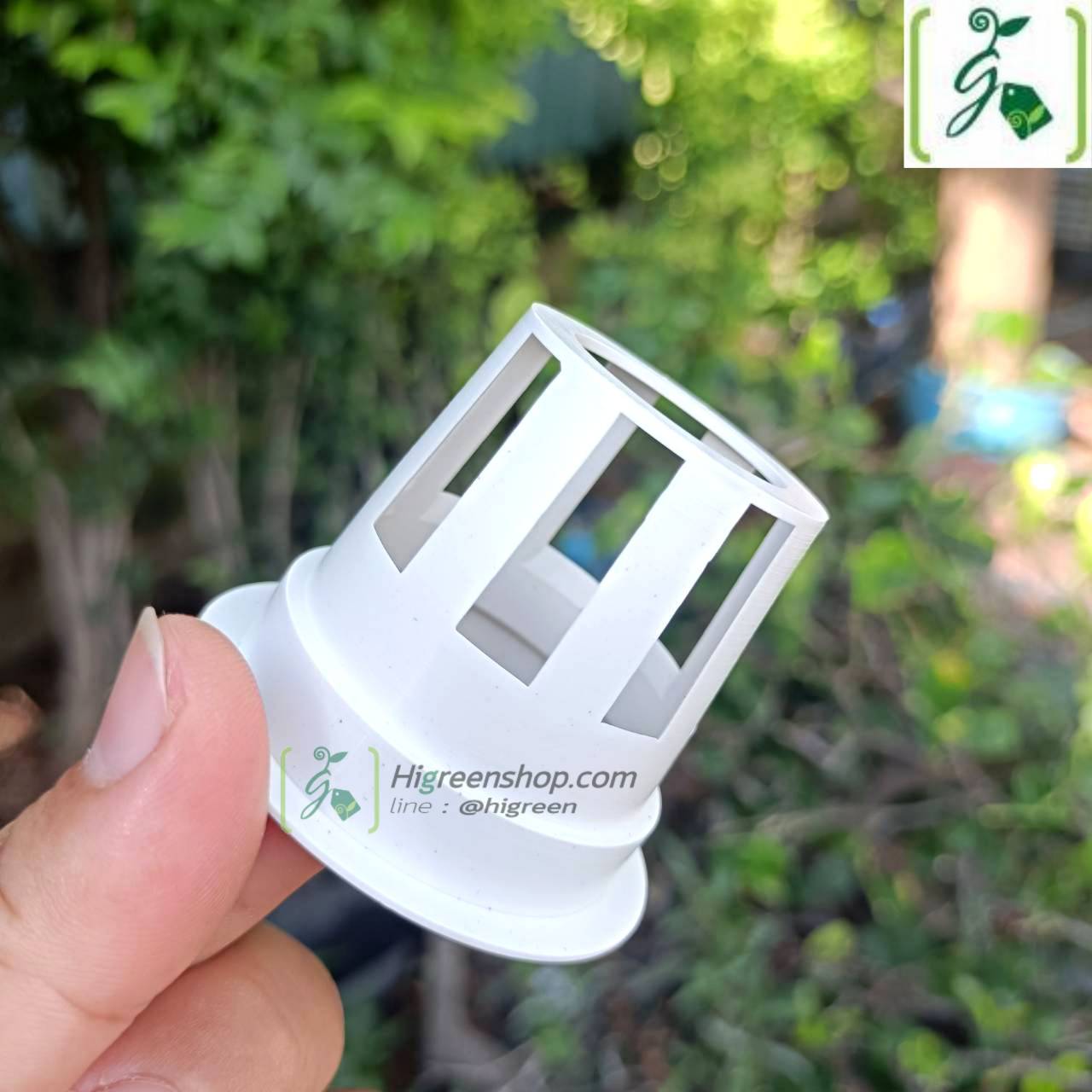 ถ้วยปลูกสีขาว 100 ใบ (ใช้ซ้ำ) เกรด A แบบบาง