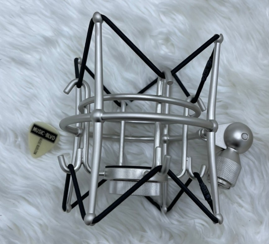 Blue Bluebird SL Large-Diaphragm Condenser Studio Microphone