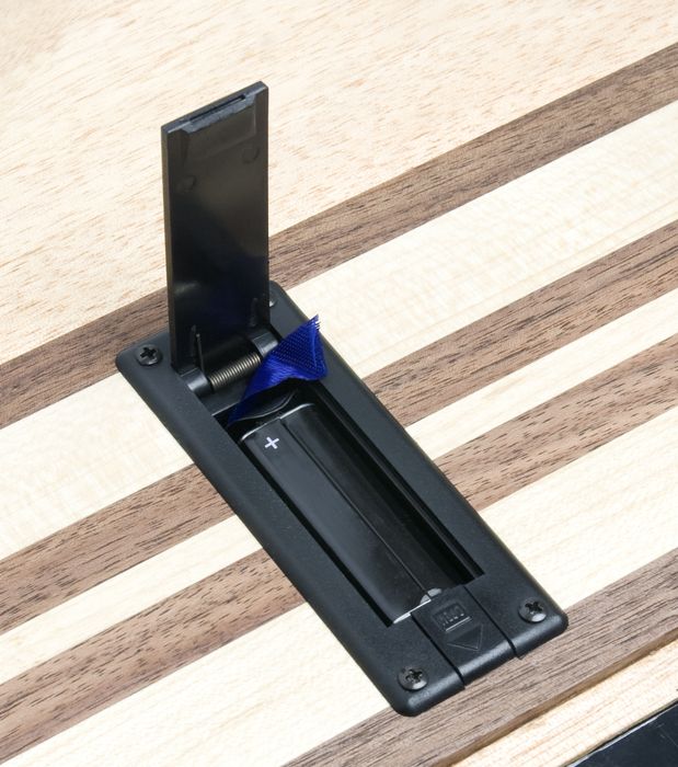 Epiphone Thunderbird Pro-IV Bass