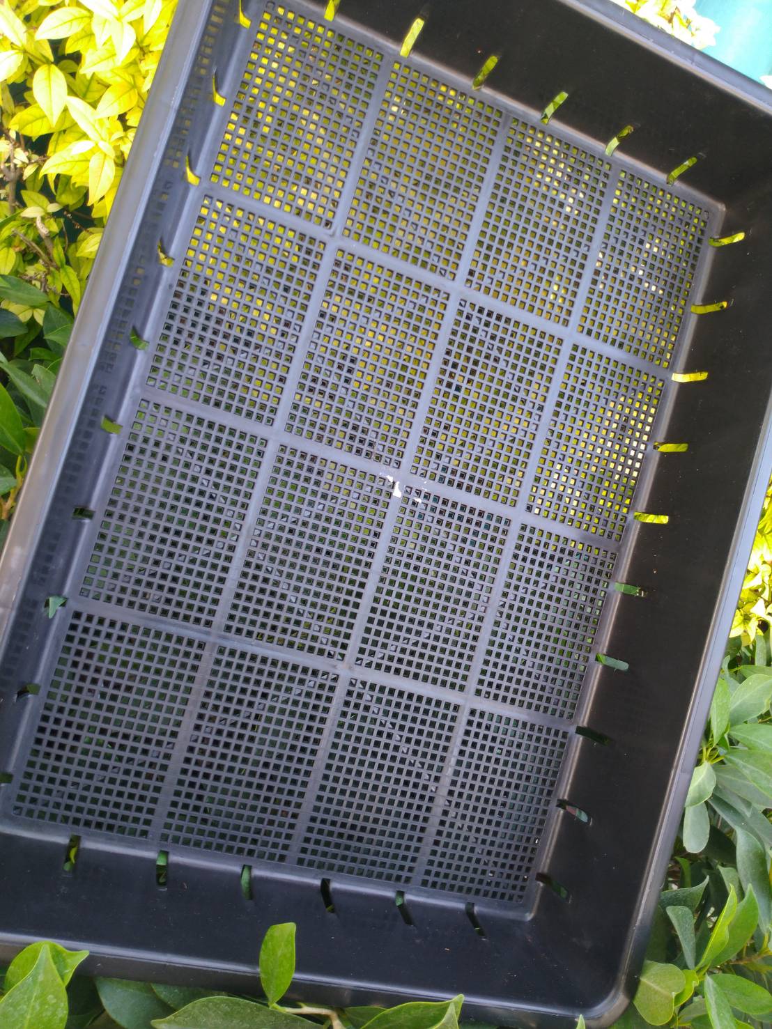 ถาดดำไดโต๊ะ รู จำนวน 1 ชิ้น