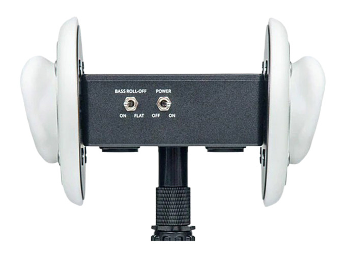 3Dio FS Free Space XLR Binaural Microphone