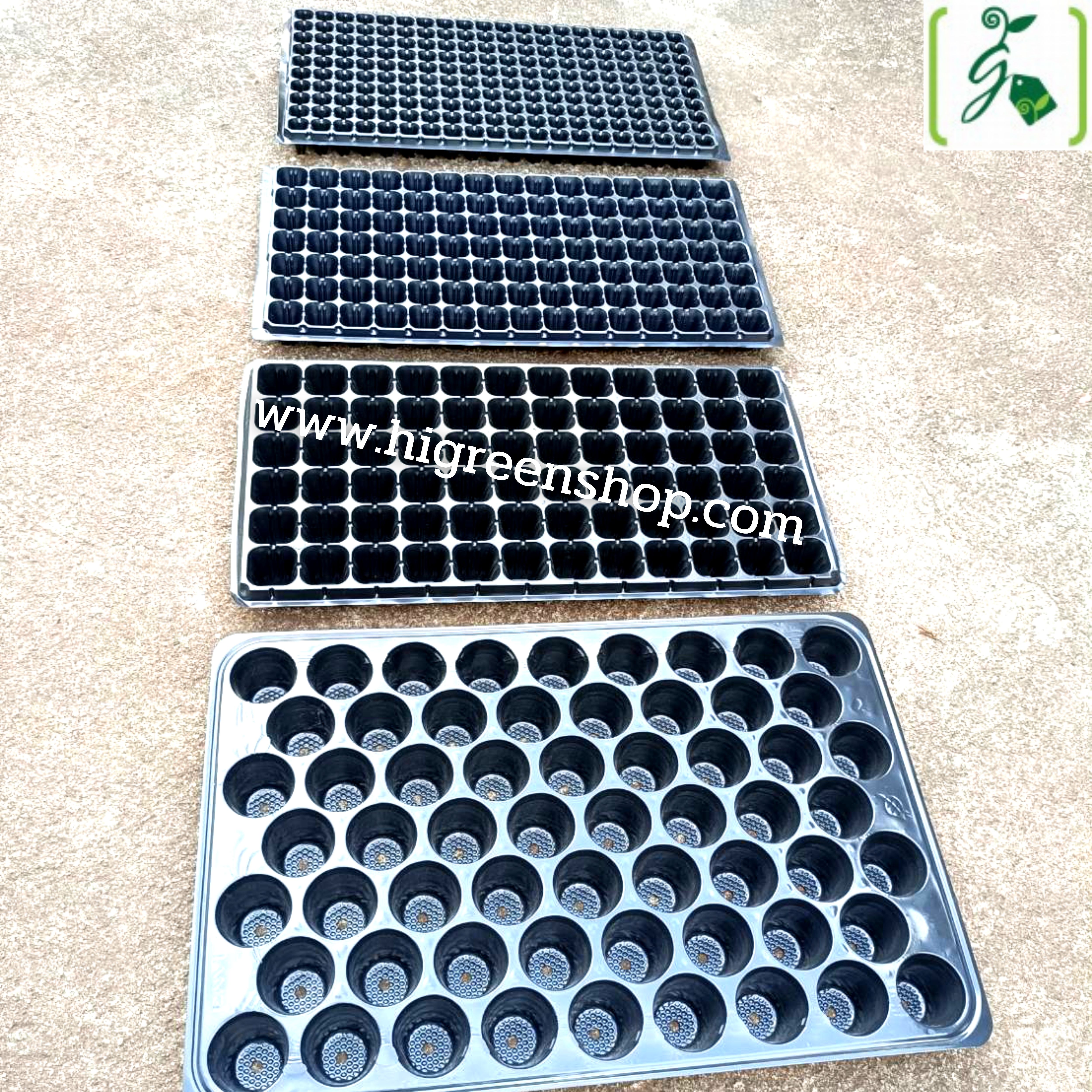 ถาดหลุมเพาะกล้าสีดำ 60 หลุม(100แผ่น/กล่อง)