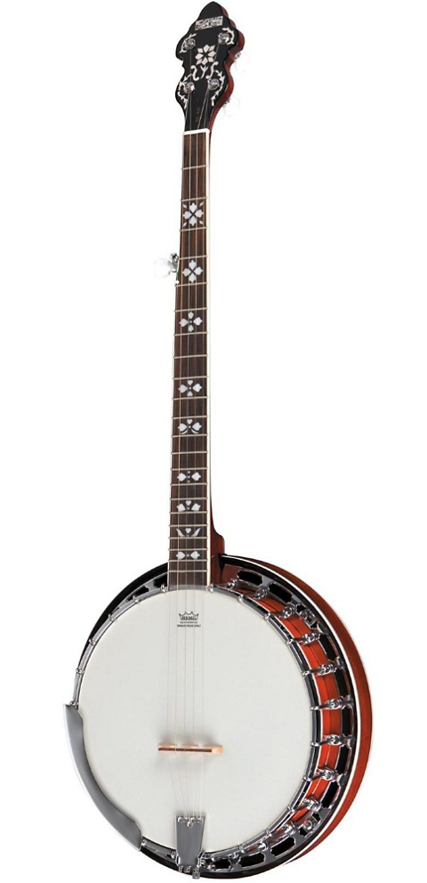 Recording King Bluegrass Series RK-R20 Songster Banjo