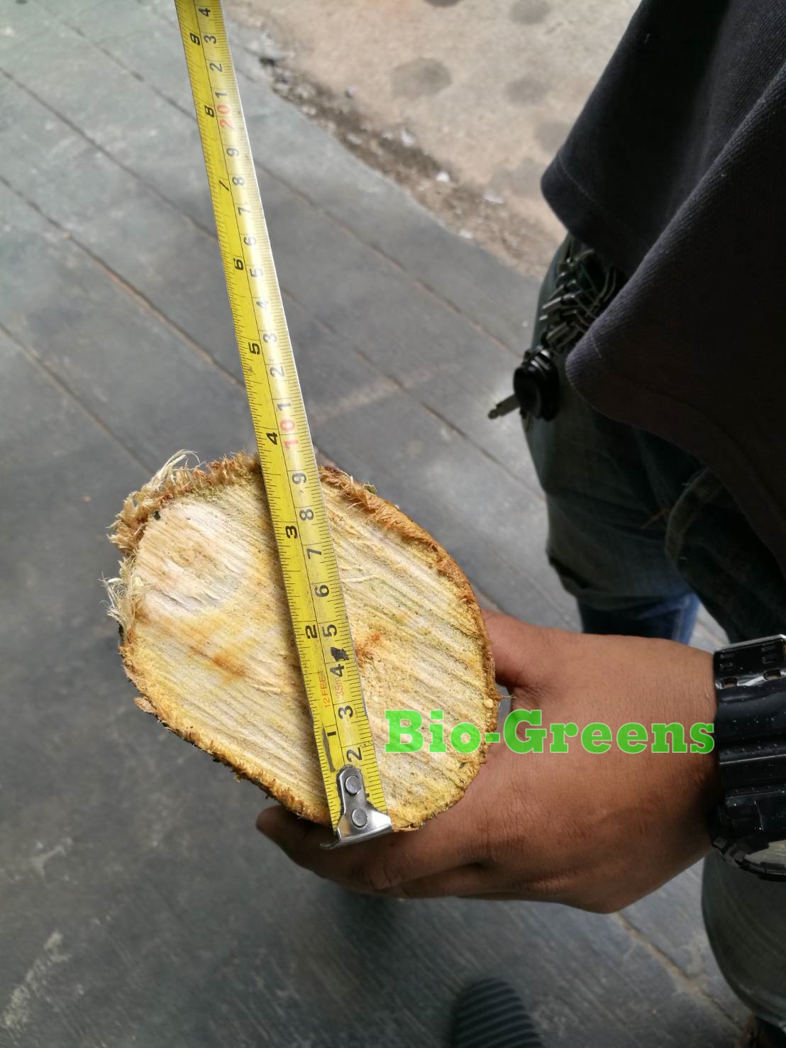 เครื่องบดย่อยสับกิ่งไม้และท่อนไม้ รุ่น HM660