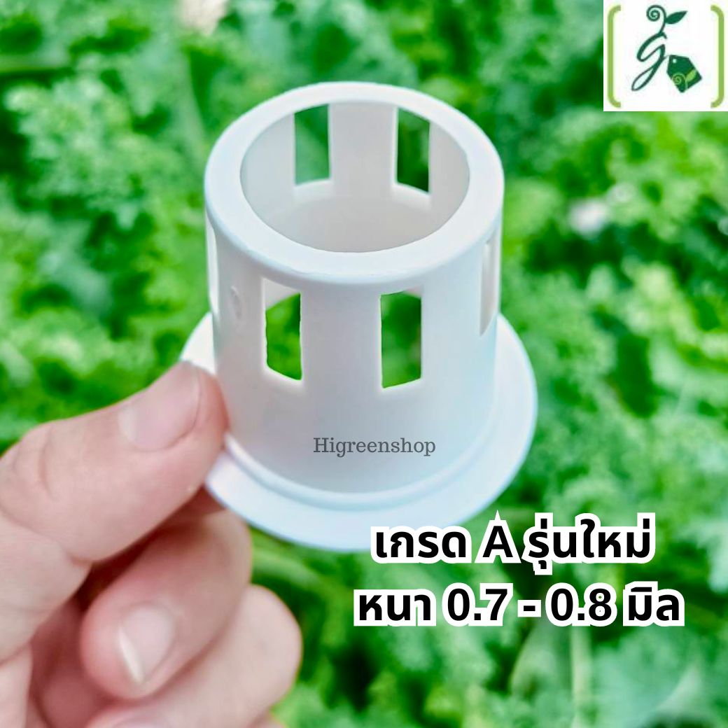 ถ้วยปลูกสีขาว 100 ใบ (ใช้ซ้ำ) เกรด A รุ่นใหม่